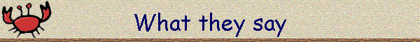 What they say